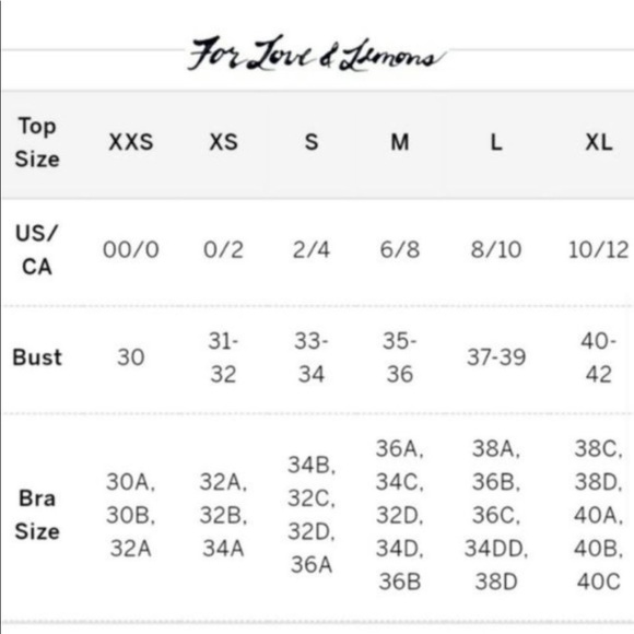 FOR LOVE & lemons Gracie lace slip NWT - Picture 7 of 8